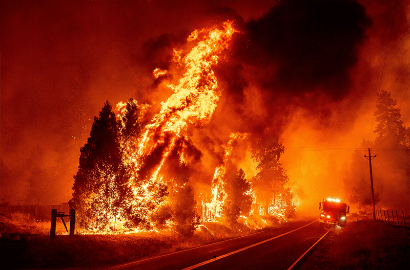Огонь на природе: как избежать лесных пожаров в майские праздники